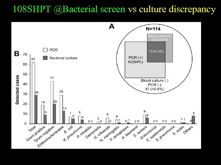 108 SHPT @Bacterial screen vs culture discrepancy 