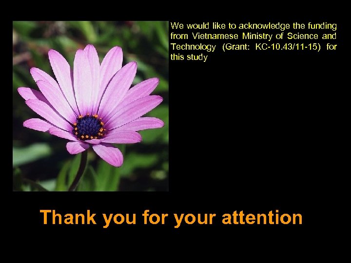 We would like to acknowledge the funding from Vietnamese Ministry of Science and Technology