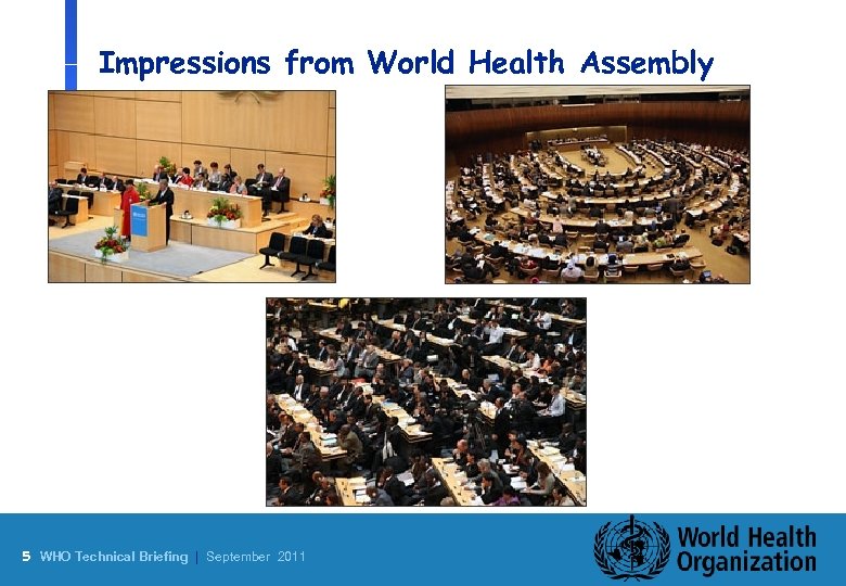 Impressions from World Health Assembly n - SSFFC 5 WHO Technical Briefing | September