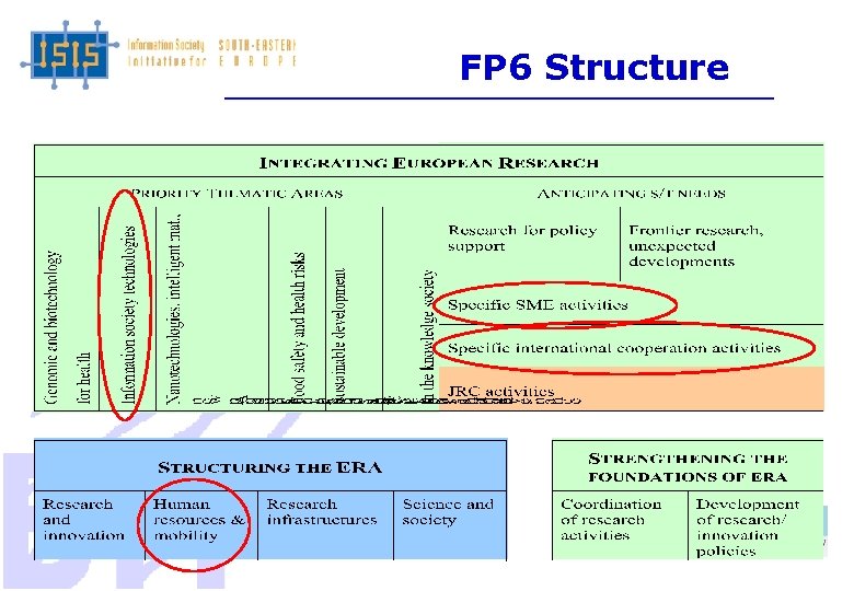 FP 6 Structure 