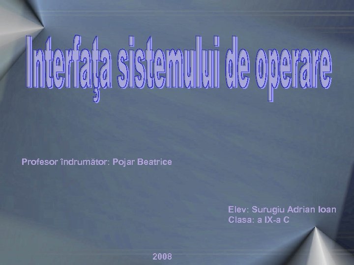 Profesor îndrumător: Pojar Beatrice Elev: Surugiu Adrian Ioan Clasa: a IX-a C 2008 