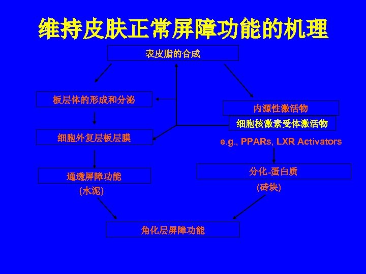 维持皮肤正常屏障功能的机理 表皮脂的合成 板层体的形成和分泌 内源性激活物 细胞核激素受体激活物 细胞外复层板层膜 e. g. , PPARs, LXR Activators 分化-蛋白质 通透屏障功能