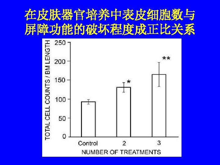 在皮肤器官培养中表皮细胞数与 屏障功能的破坏程度成正比关系 