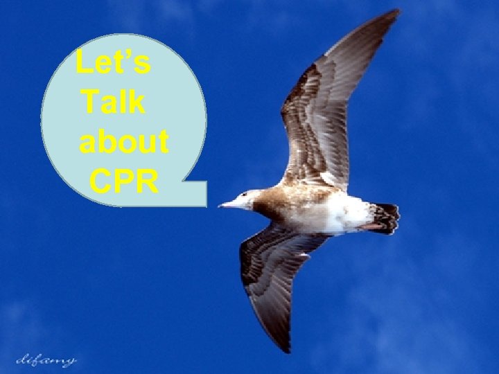 Let’s　 Talk　 about CPR 
