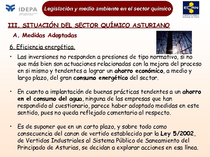 Legislación y medio ambiente en el sector químico III. SITUACIÓN DEL SECTOR QUÍMICO ASTURIANO