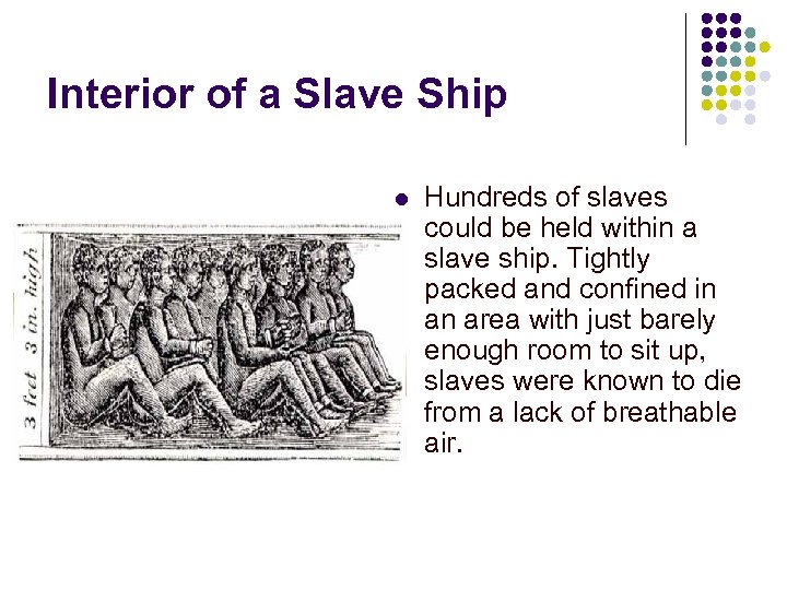 Interior of a Slave Ship l Hundreds of slaves could be held within a