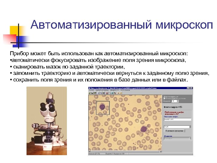 Как пользоваться микроскопом. Какипользоваться микроскопом?. Поле зрения микроскопа. Как использовать микроскоп.