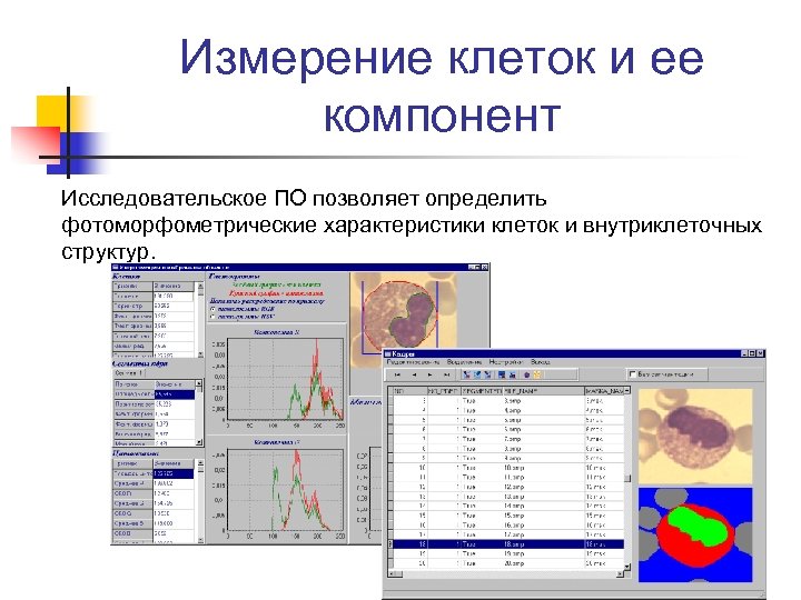 Измерение клеток и ее компонент Исследовательское ПО позволяет определить фотоморфометрические характеристики клеток и внутриклеточных