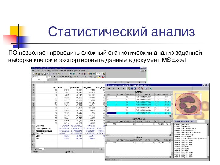 Система статистического анализа. Статистический анализ выборки. Статистический анализ позволяет. Выборка анализов. Пример выборка для статистического анализа данных.