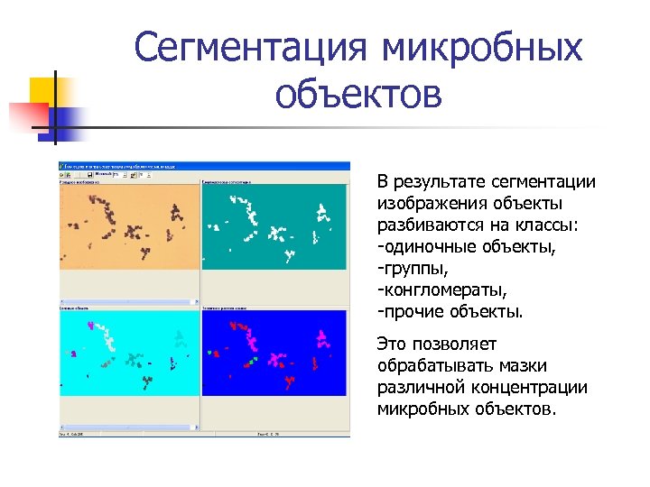 Сегментация микробных объектов В результате сегментации изображения объекты разбиваются на классы: -одиночные объекты, -группы,