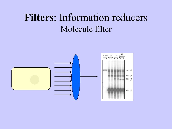 Filters: Information reducers Molecule filter 