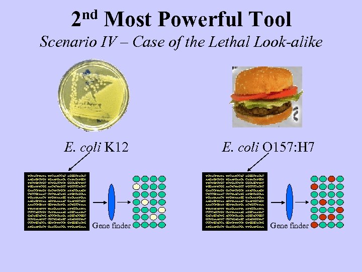 2 nd Most Powerful Tool Scenario IV – Case of the Lethal Look-alike E.