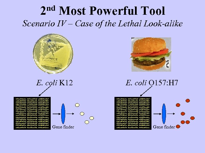 2 nd Most Powerful Tool Scenario IV – Case of the Lethal Look-alike E.