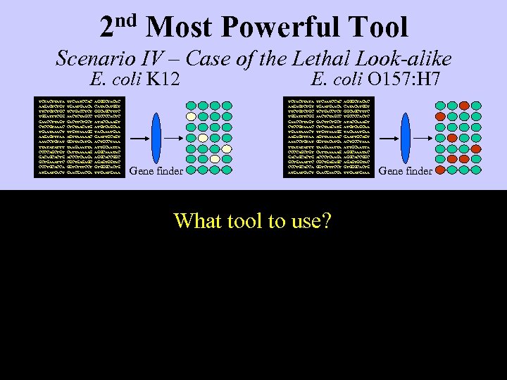 2 nd Most Powerful Tool Scenario IV – Case of the Lethal Look-alike E.