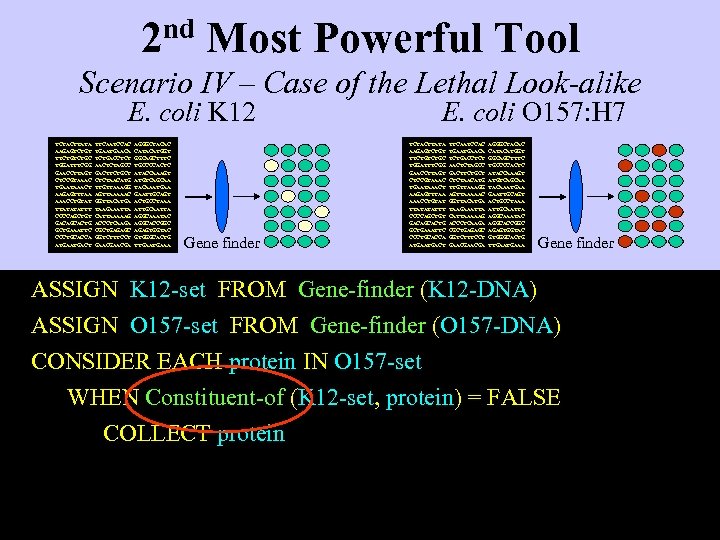2 nd Most Powerful Tool Scenario IV – Case of the Lethal Look-alike E.
