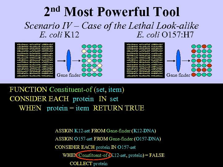 2 nd Most Powerful Tool Scenario IV – Case of the Lethal Look-alike E.