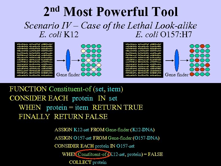 2 nd Most Powerful Tool Scenario IV – Case of the Lethal Look-alike E.
