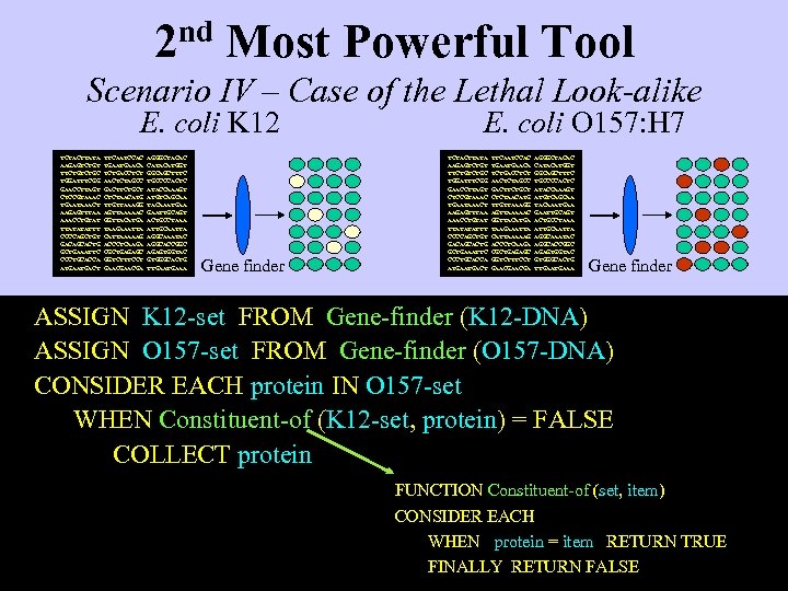 2 nd Most Powerful Tool Scenario IV – Case of the Lethal Look-alike E.