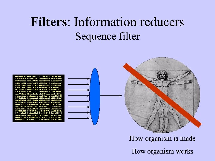 Filters: Information reducers Sequence filter TCTACTTATA AAGAGTCTGT TTCTGC TGGATTTCGG GAACCTTAGT CTCCGTAAAC TGAATAAACT AAGAGTTTAA AAACCTGTAT