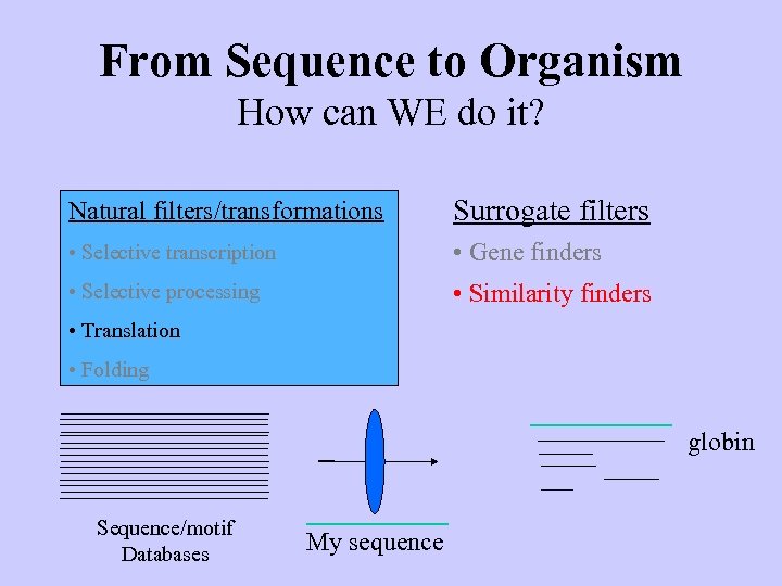 From Sequence to Organism How can WE do it? Natural filters/transformations Surrogate filters •