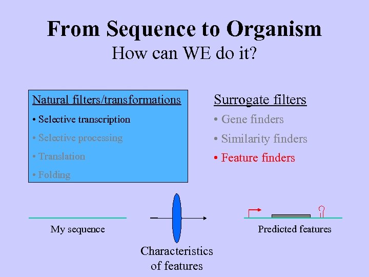From Sequence to Organism How can WE do it? Natural filters/transformations Surrogate filters •