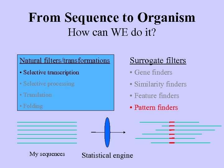 From Sequence to Organism How can WE do it? Natural filters/transformations Surrogate filters •
