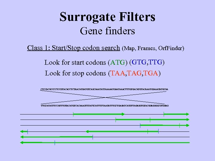 Surrogate Filters Gene finders Class 1: Start/Stop codon search (Map, Frames, Orf. Finder) Look
