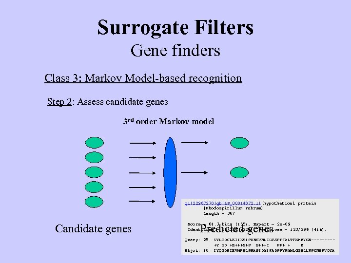 Surrogate Filters Gene finders Class 3: Markov Model-based recognition Step 2: Assess candidate genes