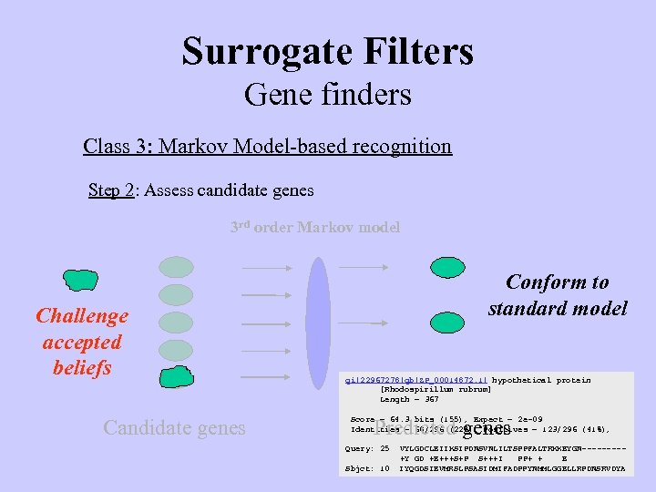 Surrogate Filters Gene finders Class 3: Markov Model-based recognition Step 2: Assess candidate genes