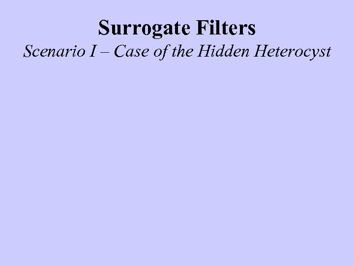 Surrogate Filters Scenario I – Case of the Hidden Heterocyst 