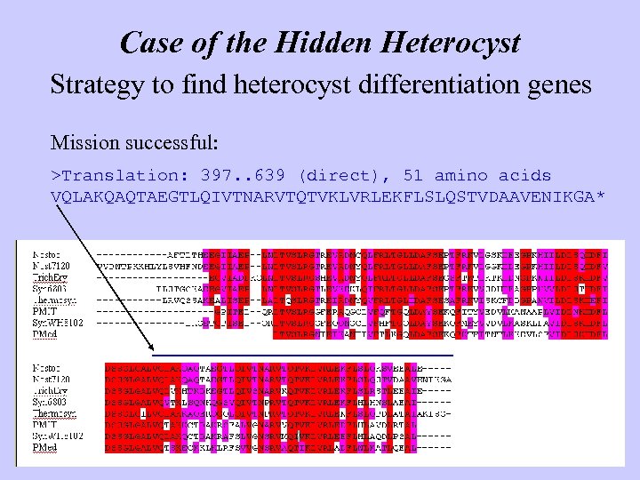 Case of the Hidden Heterocyst Strategy to find heterocyst differentiation genes Mission successful: >Translation: