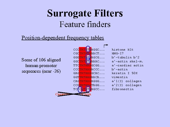Surrogate Filters Feature finders Position-dependent frequency tables Some of 106 aligned human promoter sequences