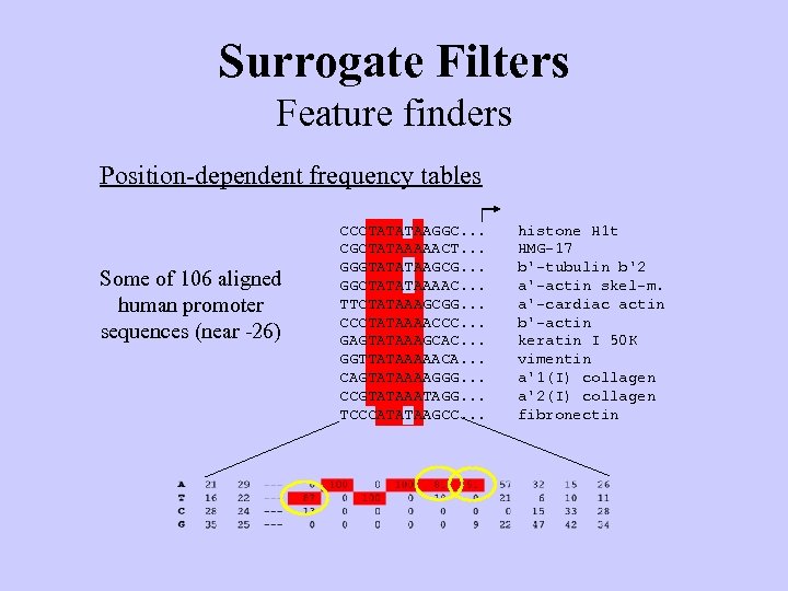Surrogate Filters Feature finders Position-dependent frequency tables Some of 106 aligned human promoter sequences