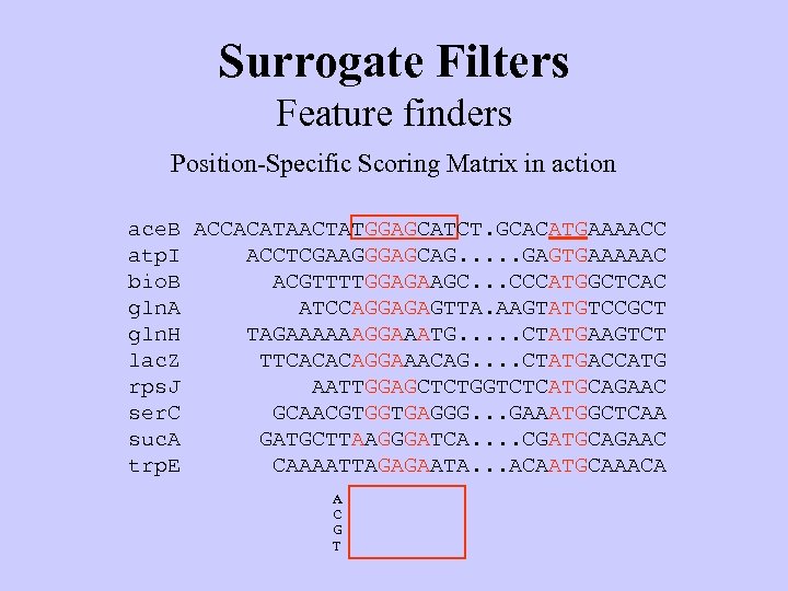 Surrogate Filters Feature finders Position-Specific Scoring Matrix in action ace. B ACCACATAACTATGGAGCATCT. GCACATGAAAACC atp.