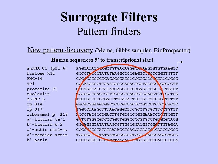 Surrogate Filters Pattern finders New pattern discovery (Meme, Gibbs sampler, Bio. Prospector) Human sequences