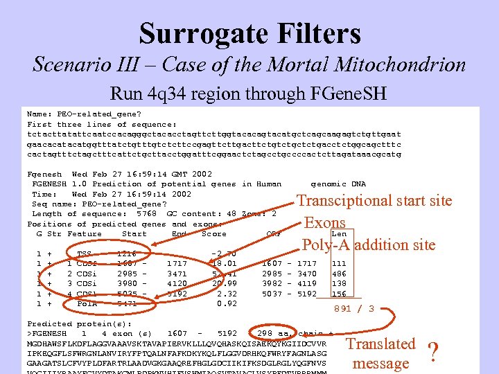Surrogate Filters Scenario III – Case of the Mortal Mitochondrion Run 4 q 34