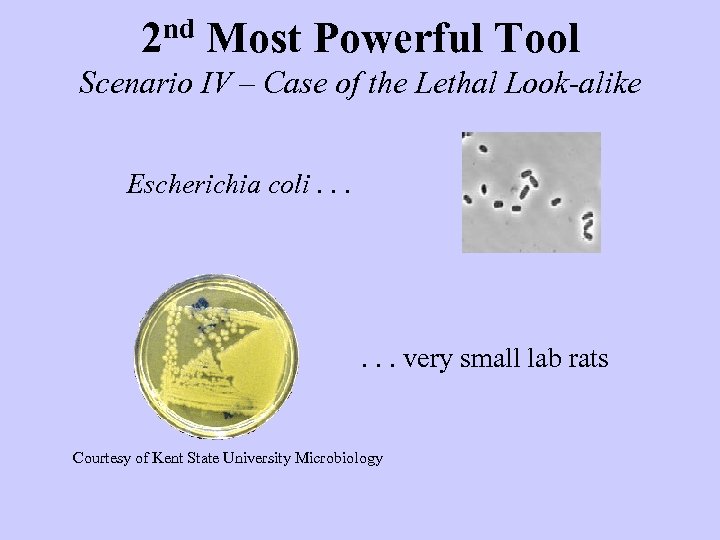 2 nd Most Powerful Tool Scenario IV – Case of the Lethal Look-alike Escherichia