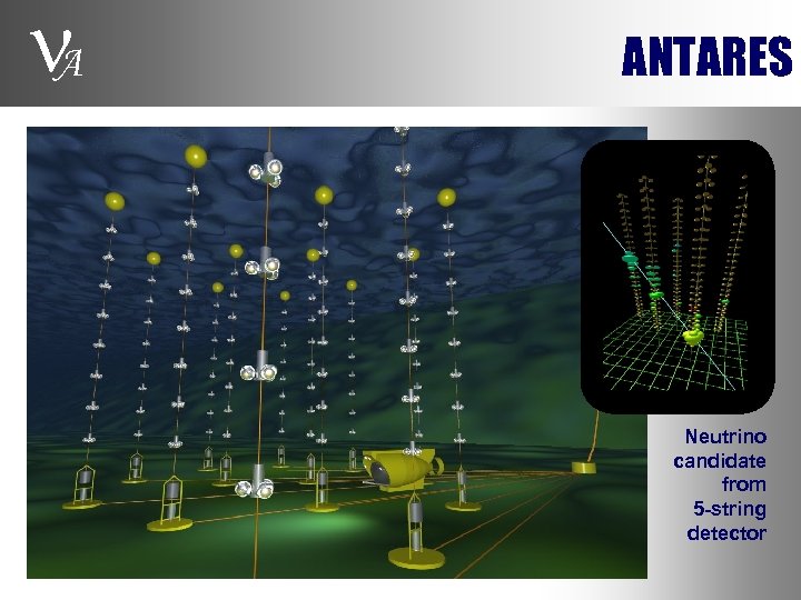 A ANTARES Neutrino candidate from 5 -string detector 
