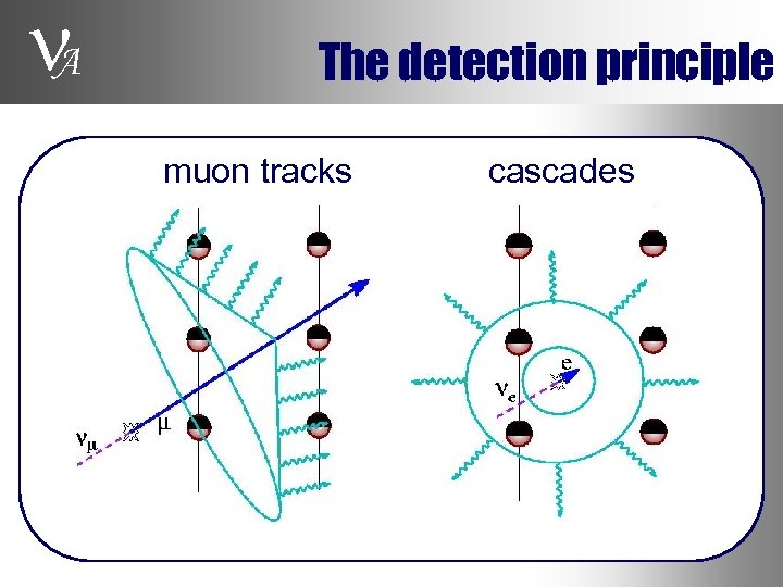  A The detection principle muon tracks cascades 