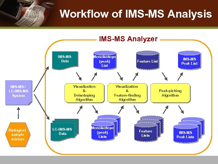 Workflow of IMS-MS Analysis IMS-MS Analyzer IMS-MS Data Visualization & Deisotoping Algorithm IMS-MS /