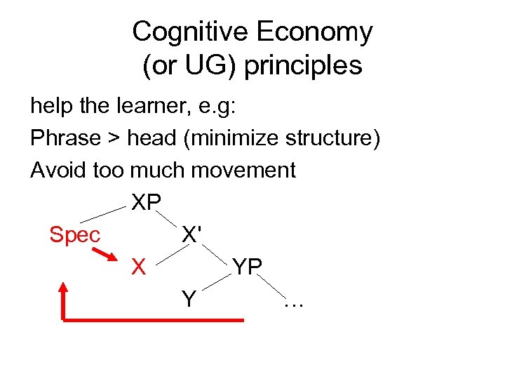 Cognitive Economy (or UG) principles help the learner, e. g: Phrase > head (minimize