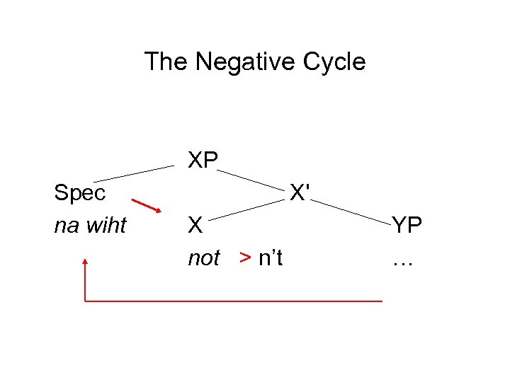 The Negative Cycle XP Spec na wiht X' X not > n’t YP …