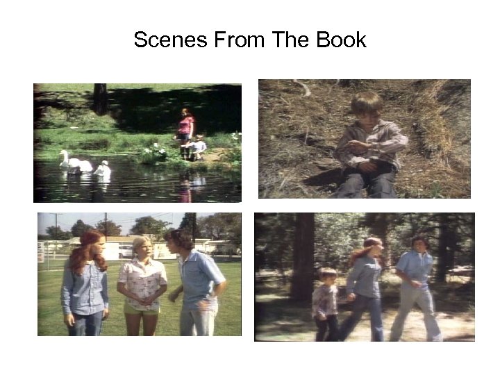 Scenes From The Book 