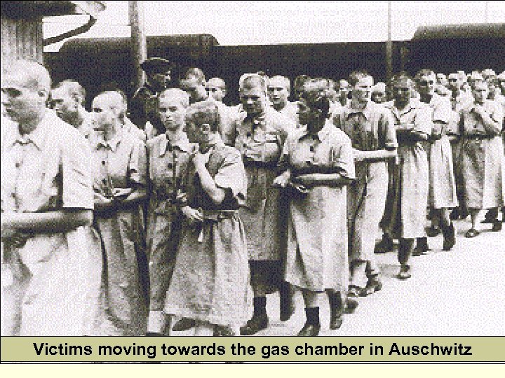 Victims moving towards the gas chamber in Auschwitz 