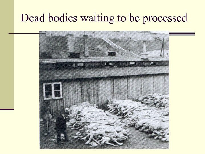 Dead bodies waiting to be processed 