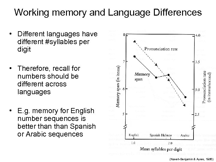 Working memory and Language Differences • Different languages have different #syllables per digit •