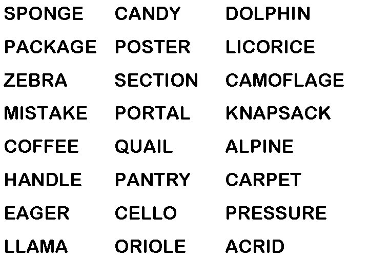 SPONGE CANDY DOLPHIN PACKAGE POSTER LICORICE ZEBRA SECTION CAMOFLAGE MISTAKE PORTAL KNAPSACK COFFEE QUAIL