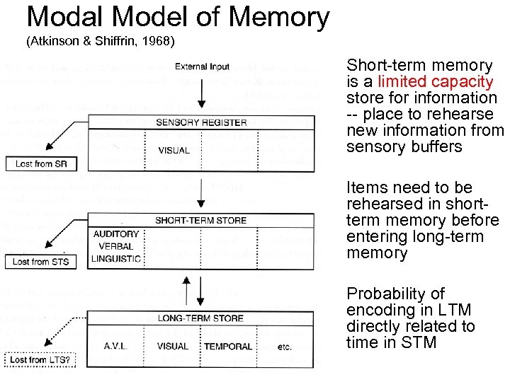 Overview of Memory Research Modal Memory Model