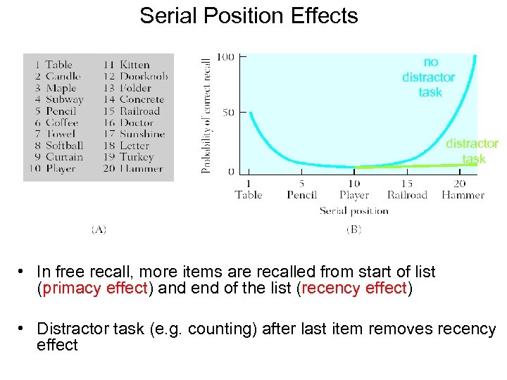 Serial Position Effects no distractor task • In free recall, more items are recalled