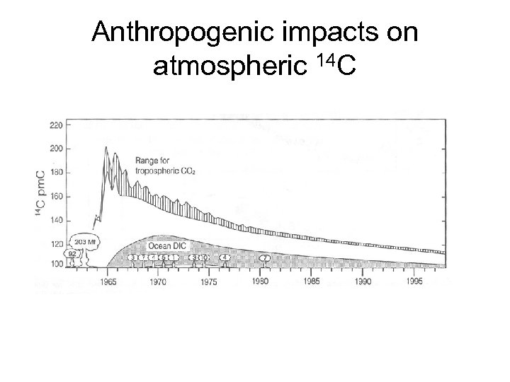 Anthropogenic impacts on atmospheric 14 C 